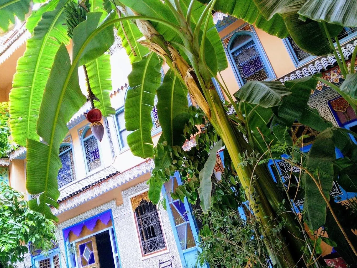 ***  Riad Carole - Perfect For Families & Groups Marrakesh Marruecos